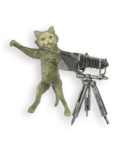 Bronzen kat fotograaf beeld Bronzen kat fotograaf beeld