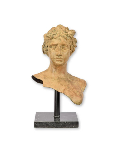 Bronzen vrouwen buste beeld Bronzen vrouwen buste beeld