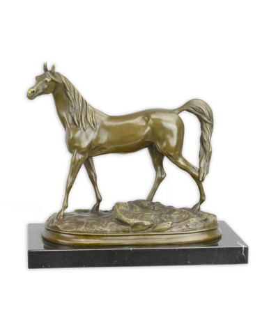 Beeld van Ibrahim, het Arabische paard Beeld van Ibrahim, het Arabische paard