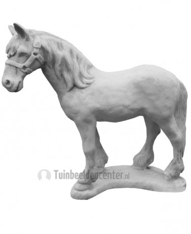 Paard staand beeld medium Paard staand beeld medium