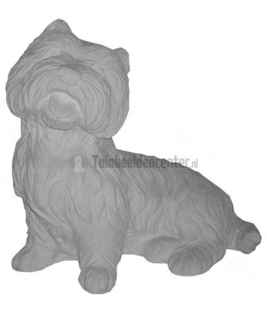 Tuinbeeldje Terrier Tuinbeeldje Terrier