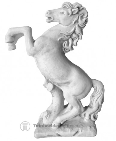 Steigerend paard medium