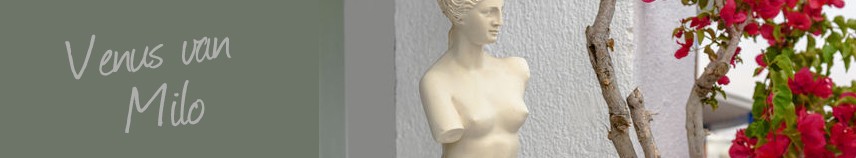 venus van milo banner